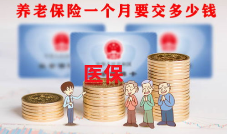 养老保险一个月交多少钱,月缴金额一览与影响因素”