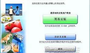佳能ip1180驱动下载,轻松实现高效打印体验