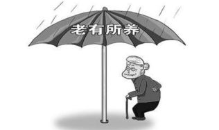 四川农村养老保险,四川农村养老保险政策解读与实施概览