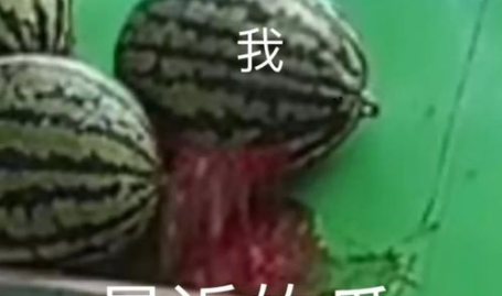 在线吃瓜,揭秘在线吃瓜背后的趣味与真相